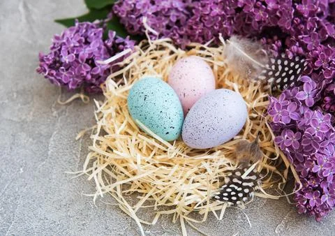 Nest with easter eggs Stock Photos