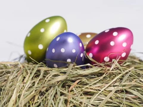 Nest with Easter eggs on the wooden table Stock Photos