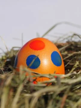 Nest with Easter eggs on the wooden table Stock Photos
