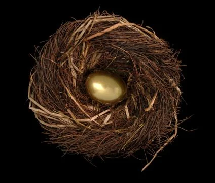 Nest egg on black 写真素材