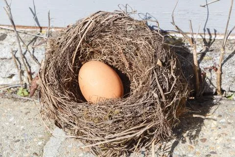 Nest with egg for Easter Stock Photos
