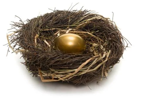 Nest egg Foto stock