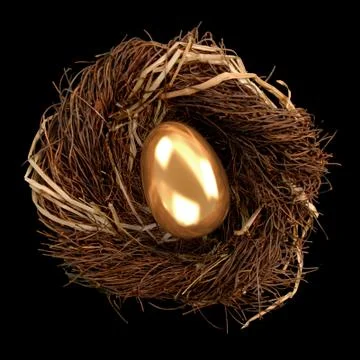 Nest egg Foto stock
