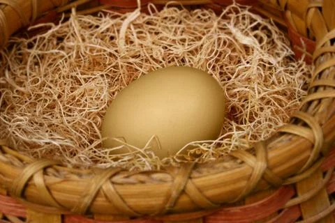 Nest egg Stock Photos