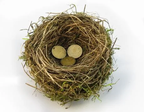 Nest egg Stock Photos