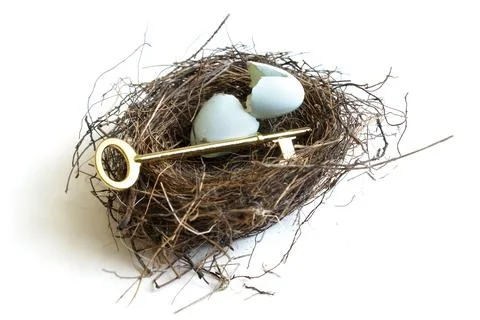 Nest Egg Secrets Stock Photos