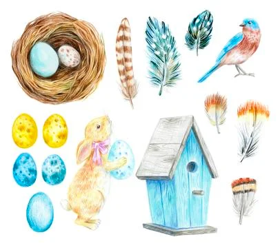 Nest with eggs, birdhouse, rabbit and feathers. Stock Illustration