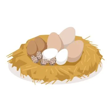 Nest with eggs of different birds, poultry breeding vector Illustration Stock Illustration