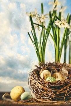 Nest of eggs with flowers for Easter Stock Photos