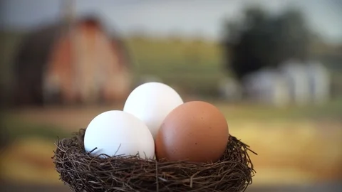 Nest with Eggs Vidéo 87126221
