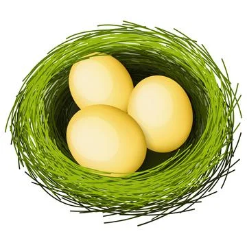Nest Eggs Stock Illustration