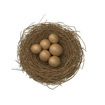 Nest with eggs isolated on white Stock Illustration