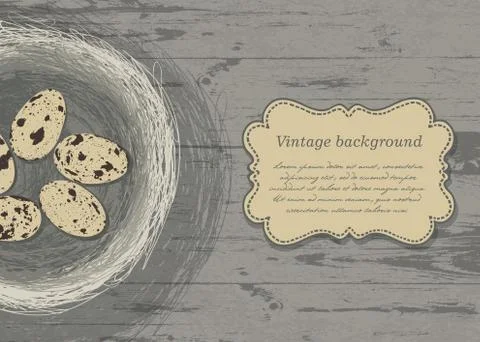 Nest with eggs on wooden texture. vector, eps 10 Stock Illustration