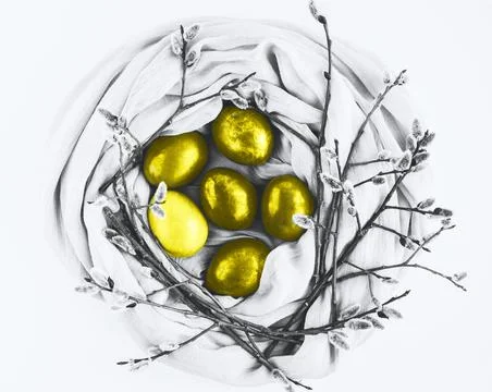 Nest of fabric with Easter eggs decorated with pussy willow in trendy yellow  Stock Photos