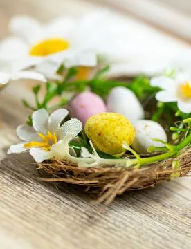 Nest filled with Easter eggs and flowers Stock Photos