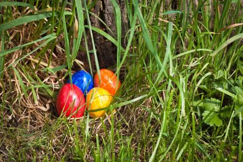 Nest full of colored easter eggs Stock Photos