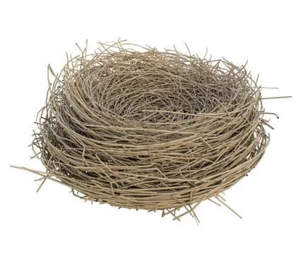 Nest isolated on white Stock Illustration