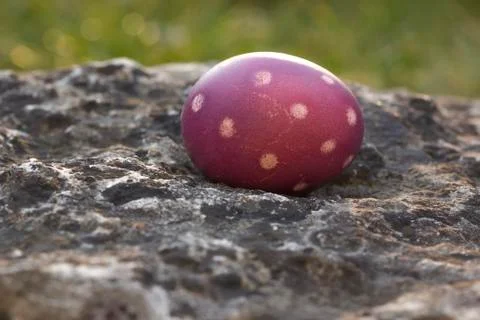 Nest of natural-colored Easter eggs Stock Photos