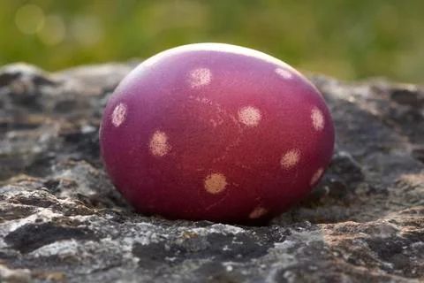 Nest of natural-colored Easter eggs Stock Photos