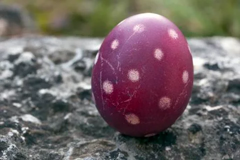 Nest of natural-colored Easter eggs Stock Photos