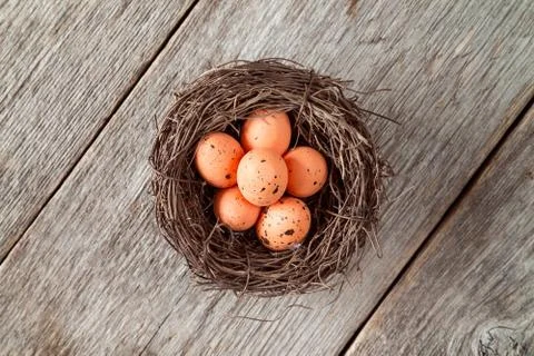 Nest with painted Easter eggs Stock Photos