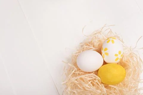 Nest with painted easter eggs on white background Stock Photos