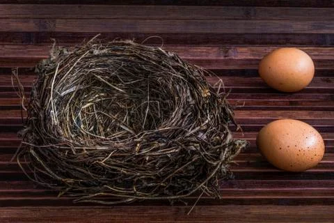Nest Stock Photos