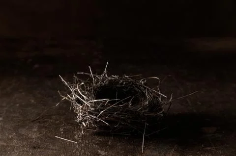 Nest Stock Photos