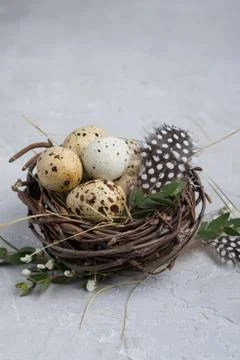 Nest with quail eggs, Easter concept. Happy Easter  or spring greeting card Stock Photos