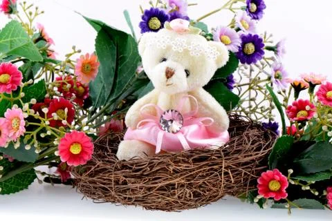 Nest with a teddy bear Stock Photos