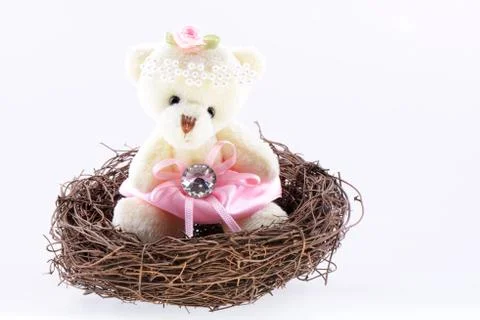Nest with a teddy bear Stock Photos