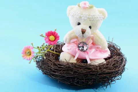 Nest with a teddy bear Stock Photos