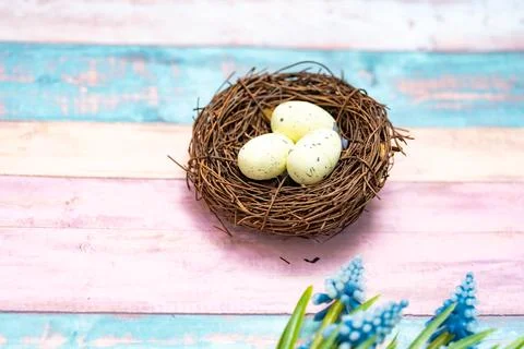 Nest with three Easter eggs sits on a pastel colored wood table with blue g.. Stock Photos