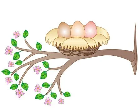 Nest with three eggs on a flowering tree - vector spring full color picture. Illustrazione stock