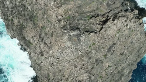 Nest on top of a cliff in the middle of a raging ocean Stock Footage 254556084