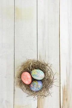Nest with twigs and colored Easter eggs Stock Photos
