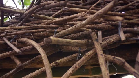 Nest Of Twigs Close Up Stock Footage 246864639