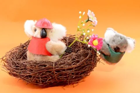 Nest with two toy koala Stock Photos
