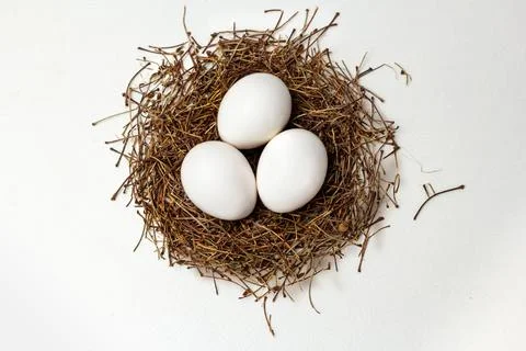 Nest on a white background Stock Photos
