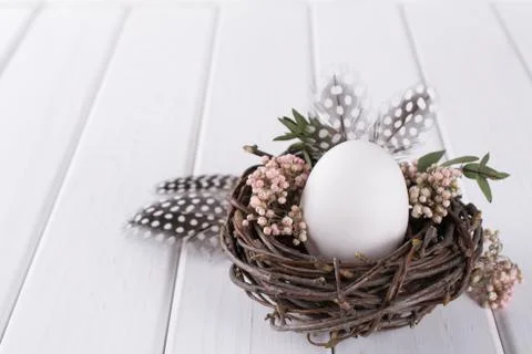 Nest with white chicken egg. Easter concept. Happy Easter  or spring greeting Stock Photos