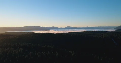 Nested Sequence 04 Stock Footage 91635020