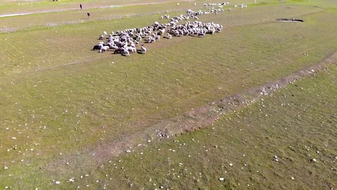 Nested Sequence 06 Stock Footage 108408138