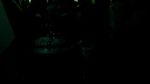 Nested Sequence 27 Stock Footage 244739117