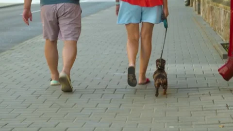 Nested Sequence 4K 25 19 스톡 동영상 251698205