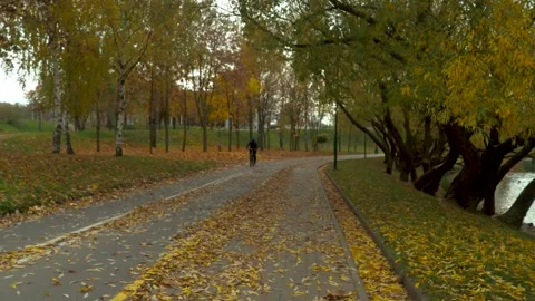 Nested Sequence 4K 25 6 1 스톡 동영상 251698171