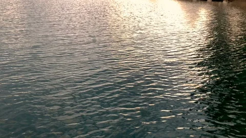 Nested Sequence 62 Stock Footage 96304627