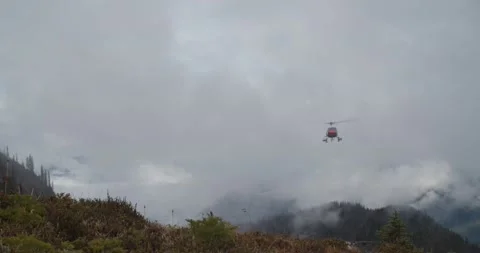 Nested Sequence 82 Stock Footage 133208722