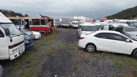 Nested Sequence 88 Stock Footage 244739926