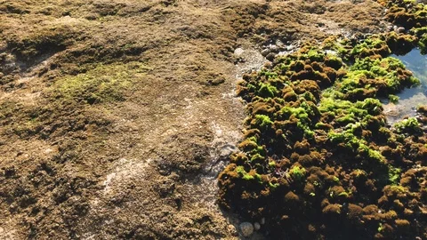 Nested Sequence 89 Stock Footage 96306515