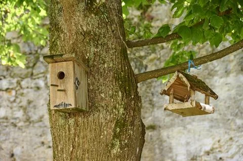 Nesting box bird feeder tree Ossiach Lake Ossiach Carinthia Austria Europe Stock Photos